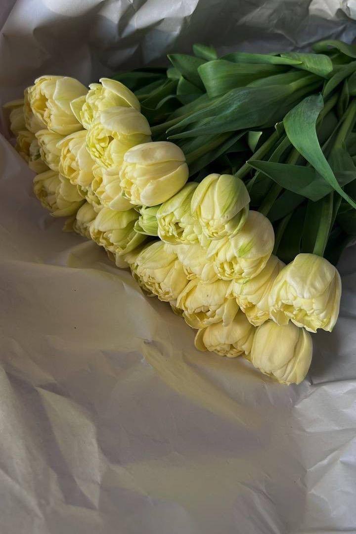 21 пионовидный