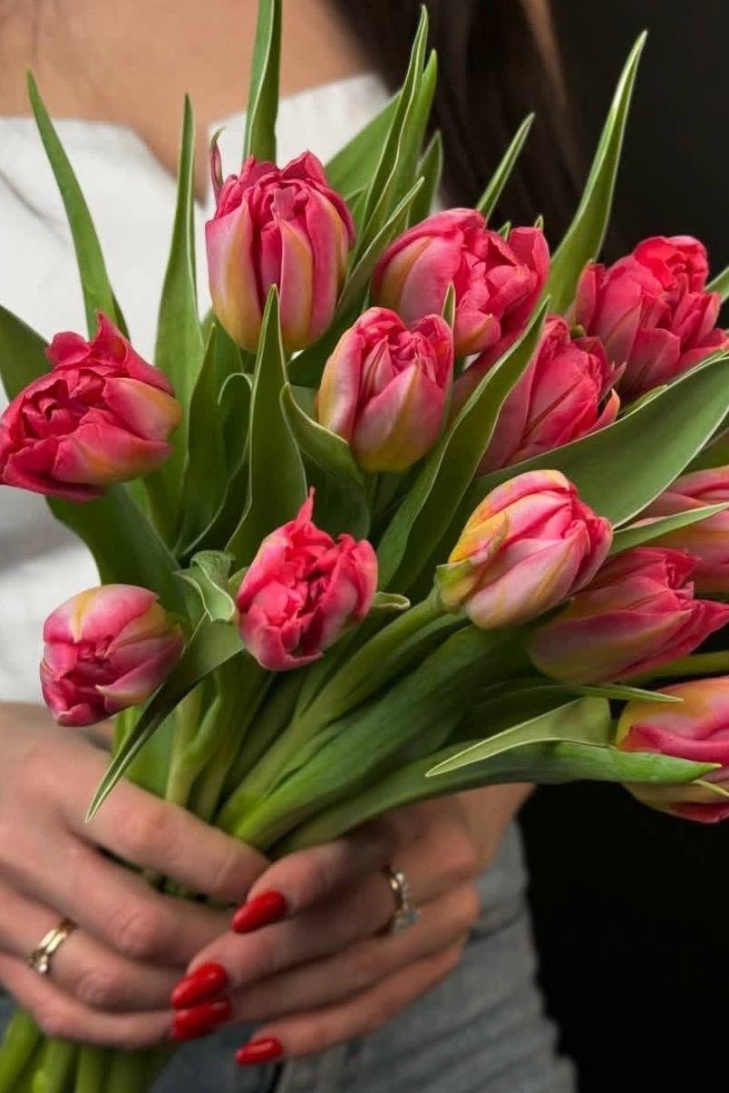 15 пионовидных тюльпанов под ленту