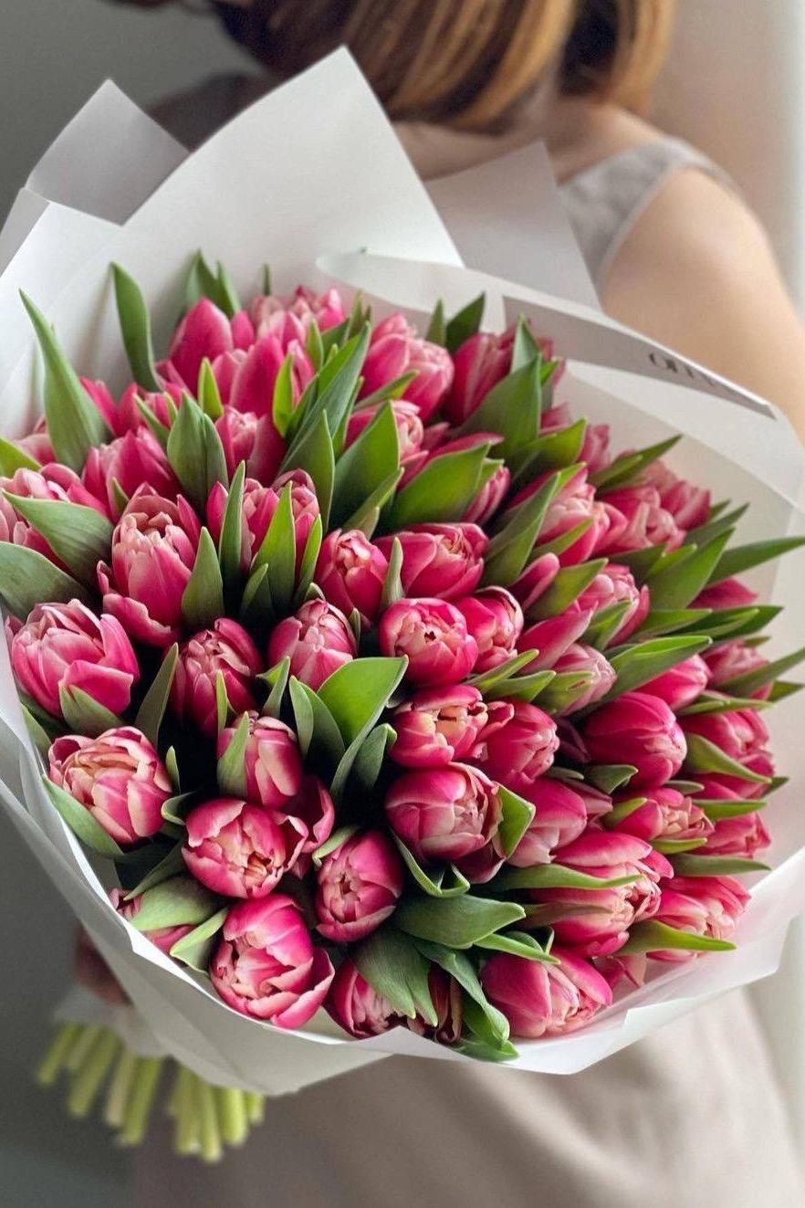 50 пионовидных тюльпанов