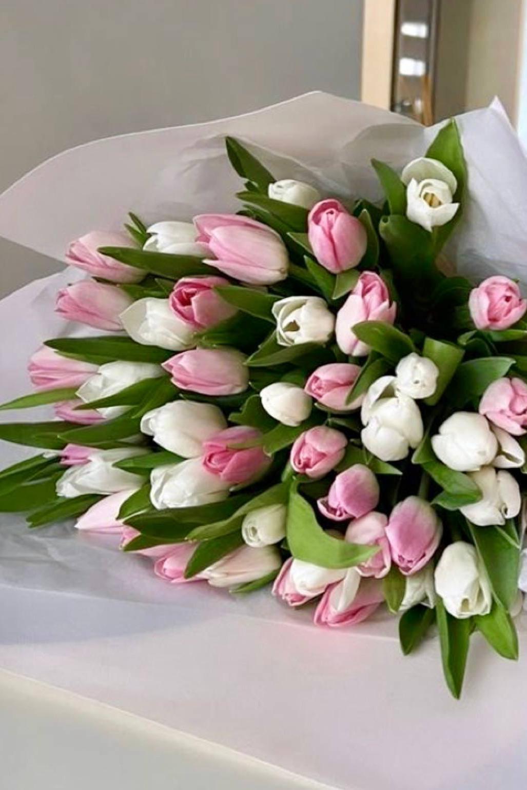 50 тюльпанов