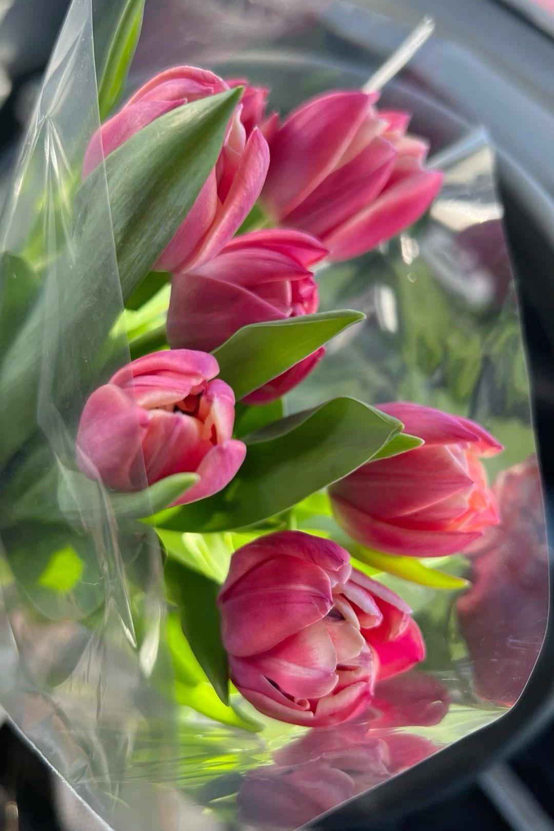 7 пионовидных тюльпанов в слюде