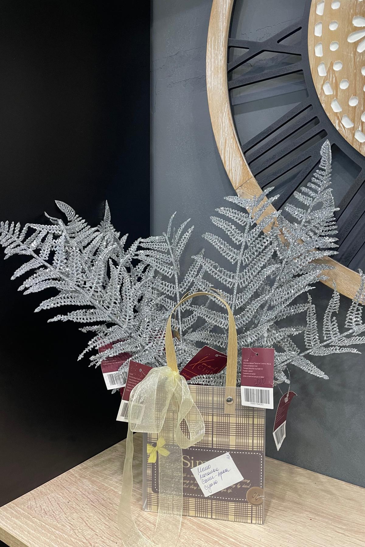 Декоративный папоротник