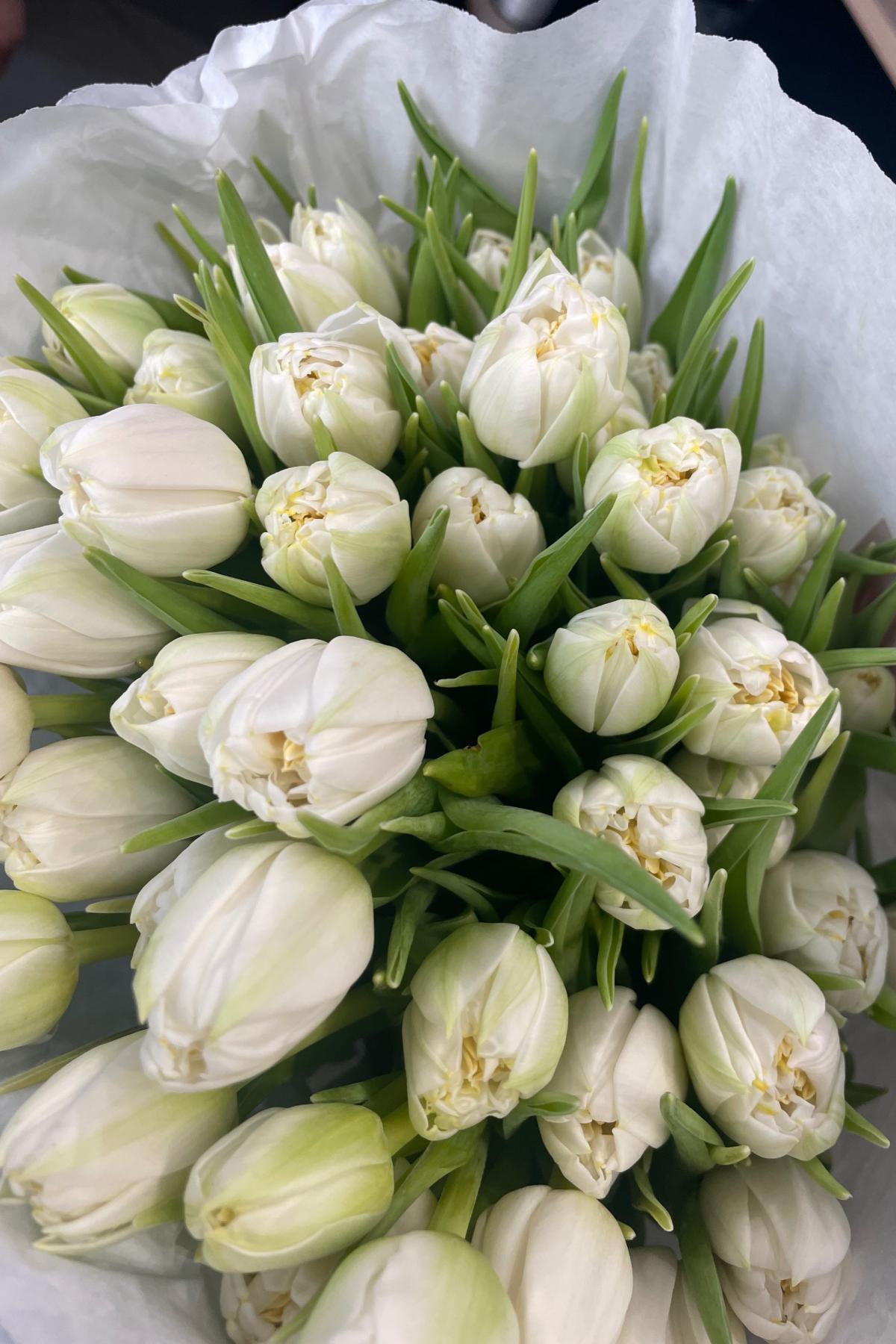 Белый пионовидный