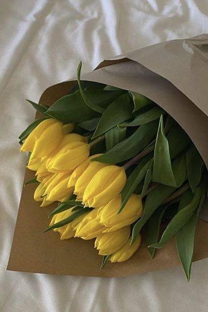 15 тюльпанов в упаковке