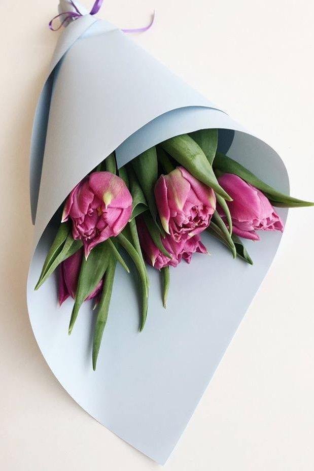 5 пионовидных тюльпанов