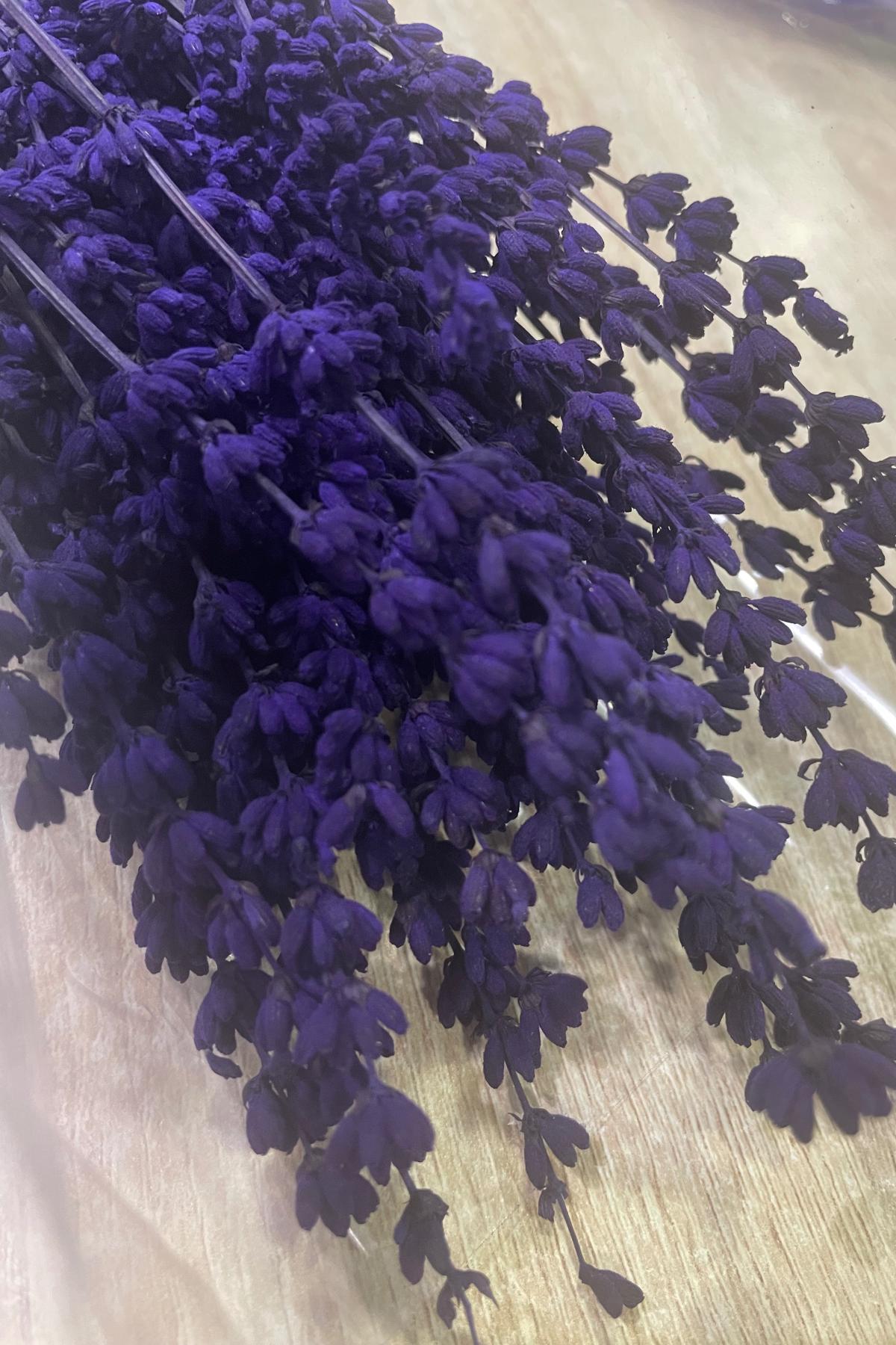 Лаванда Лаванда