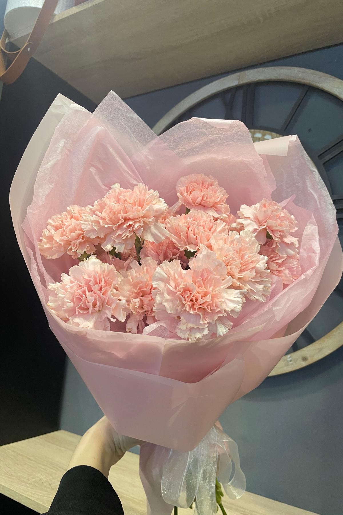 Розовая гвоздика Розовая гвоздика